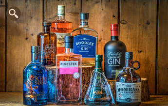 Gins
